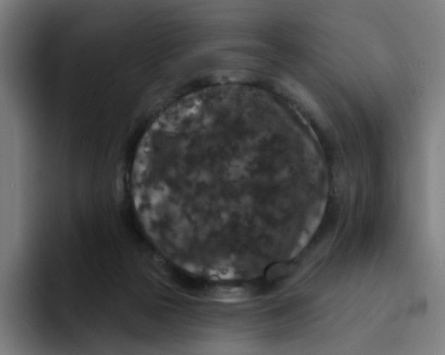 X0000094170169200711161715