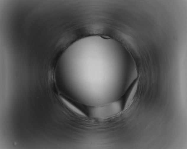 X0000094170172200711161715