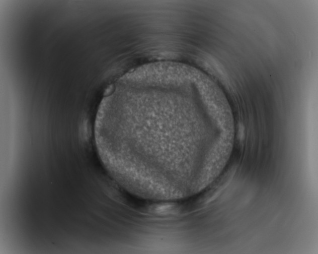 X0000094170173200711161715