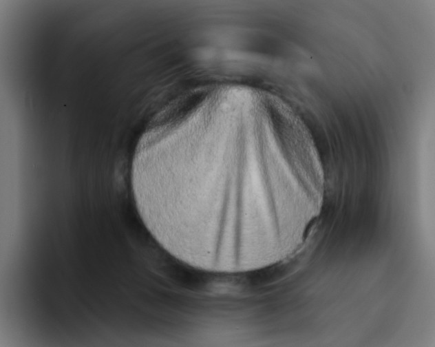 X0000094170175200711161715