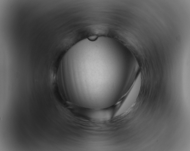 X0000094170176200711161715