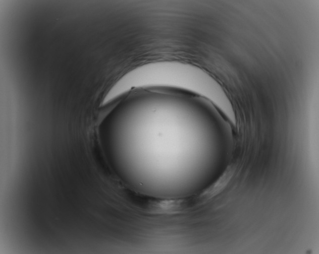 X0000094170184200711161715