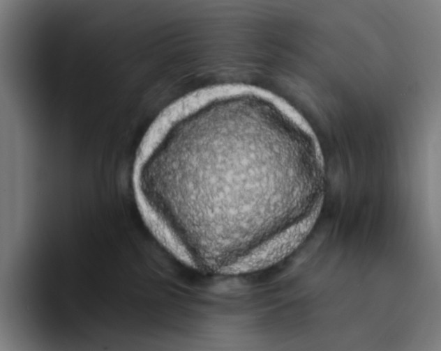 X0000094170185200711161715