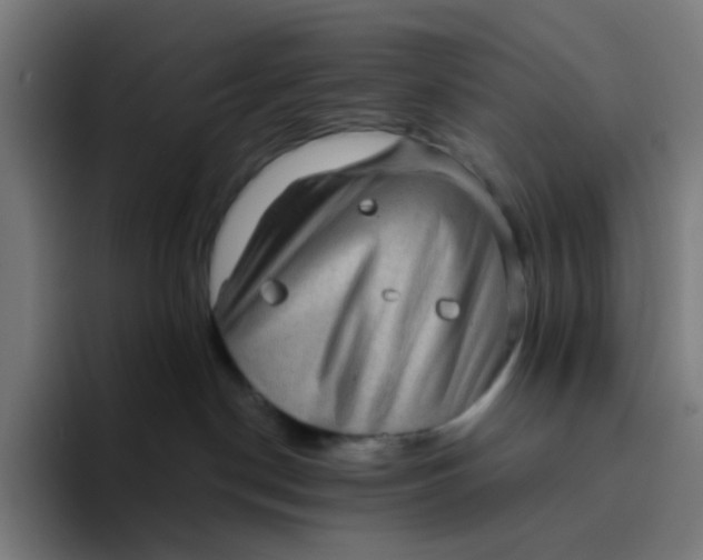 X0000094170190200711161715