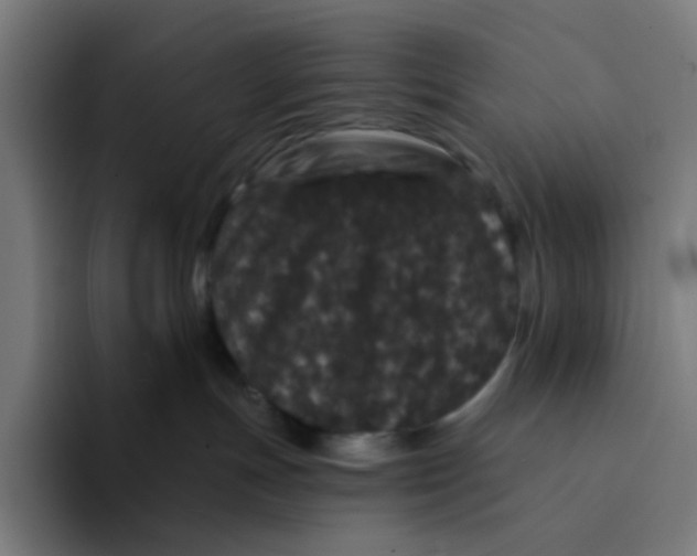 X0000094170191200711161715