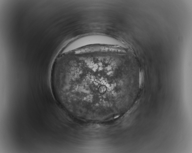 X0000094170195200711161715