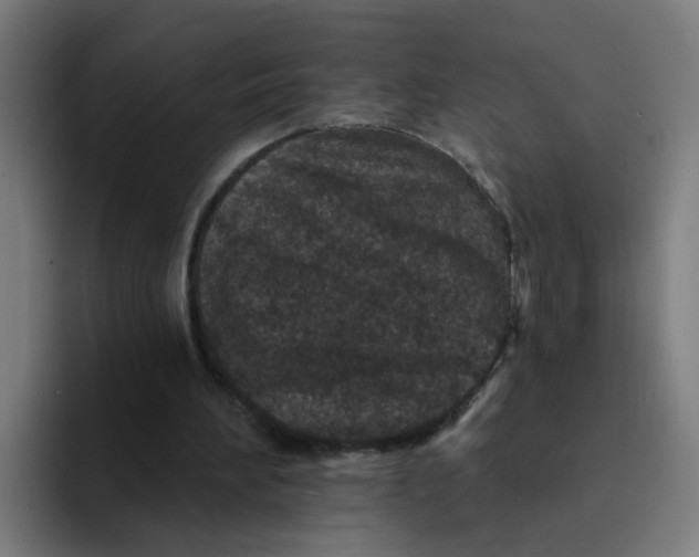 X0000094170196200711161715