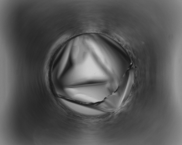 X0000094170197200711161714