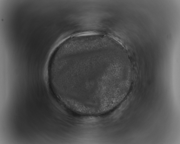 X0000094170198200711161714