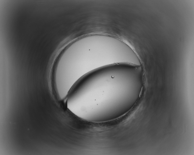 X0000094170199200711161714