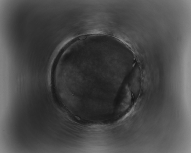 X0000094170200200711161714