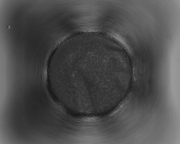 X0000094170202200711161714