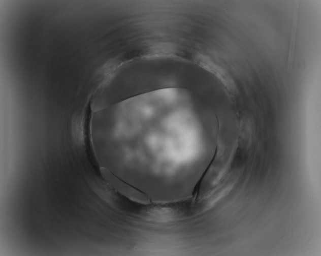 X0000094170203200711161714