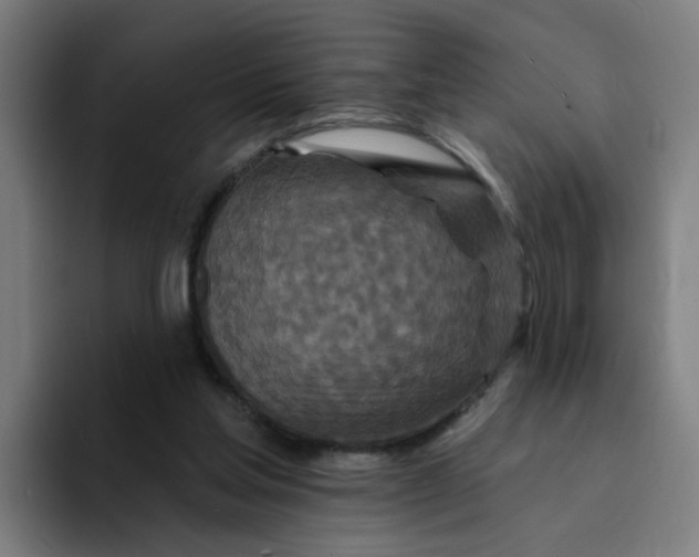 X0000094170205200711161714