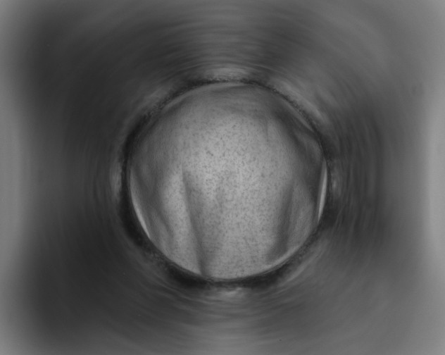 X0000094170206200711161714