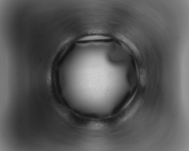 X0000094170207200711161714