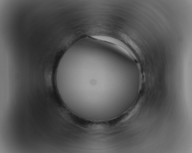 X0000094170209200711161714