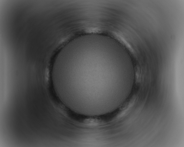 X0000094170211200711161714