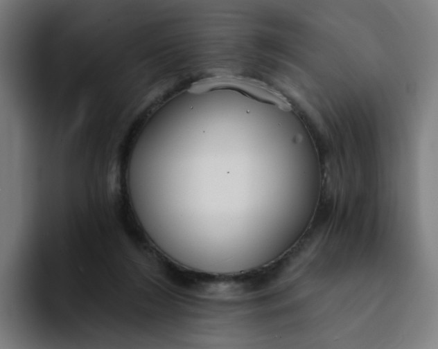 X0000094170212200711161714