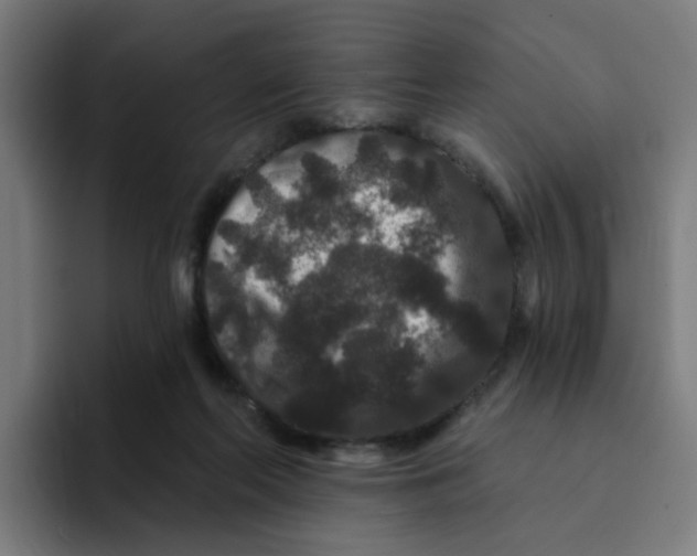 X0000094170214200711161714