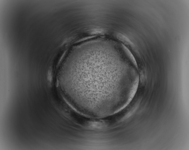 X0000094170215200711161714