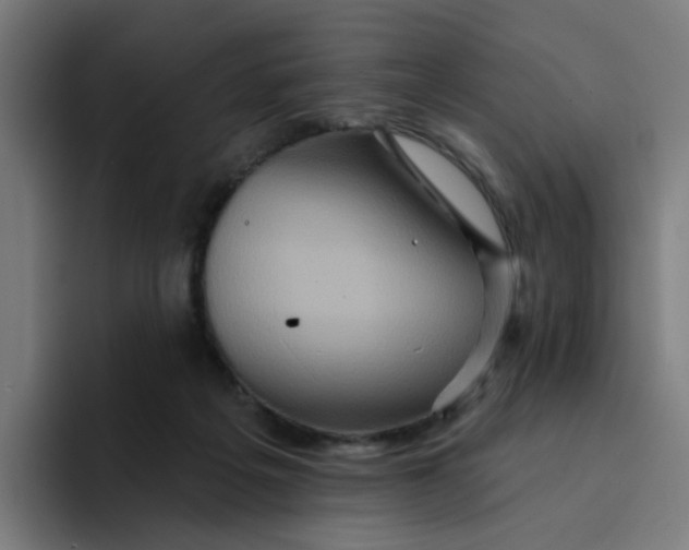 X0000094170217200711161714