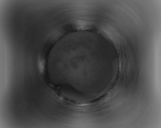 X0000094170219200711161714