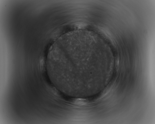 X0000094170222200711161714