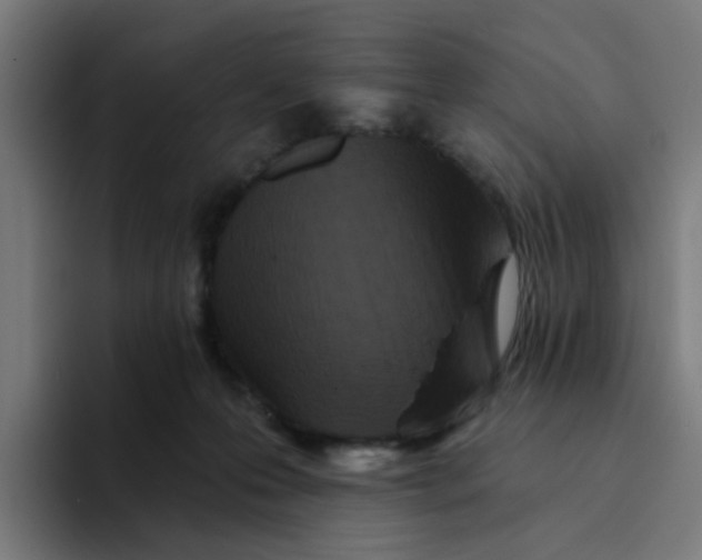 X0000094170223200711161714