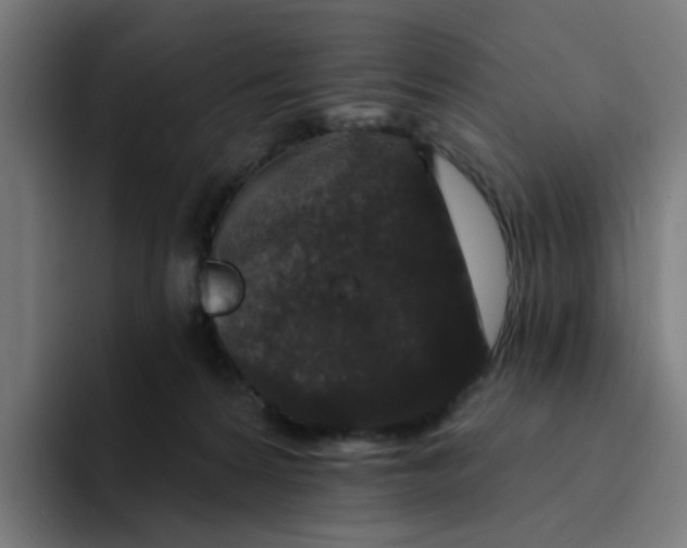 X0000094170224200711161714