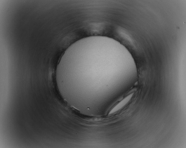 X0000094170225200711161714