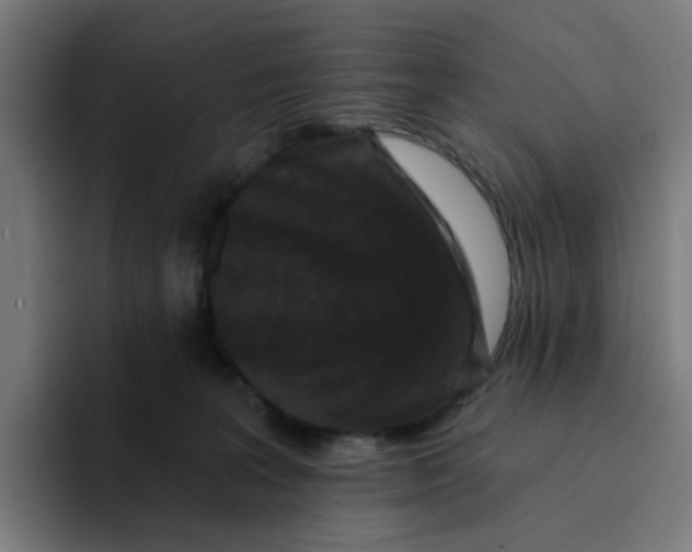 X0000094170227200711161714