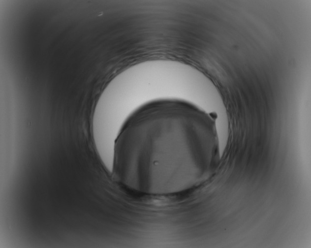 X0000094170229200711161714