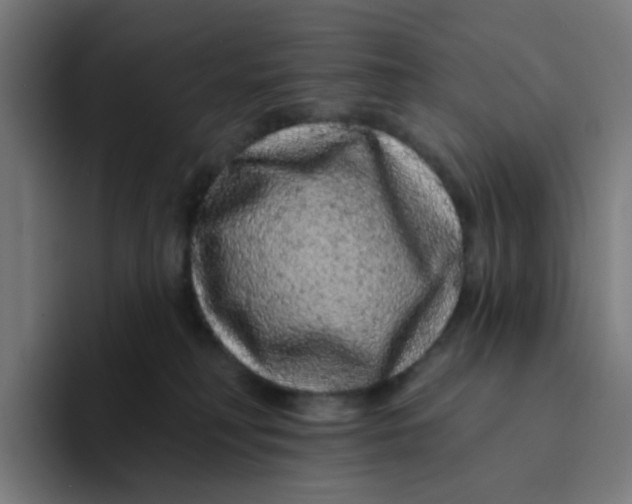 X0000094170230200711161714