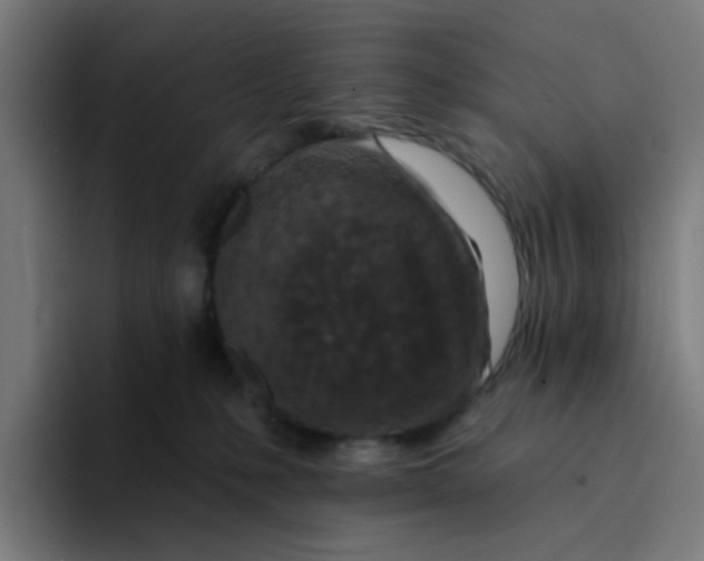 X0000094170231200711161714