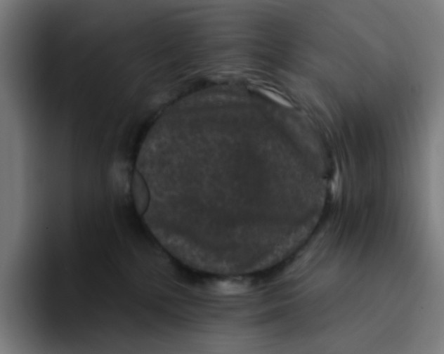 X0000094170232200711161714