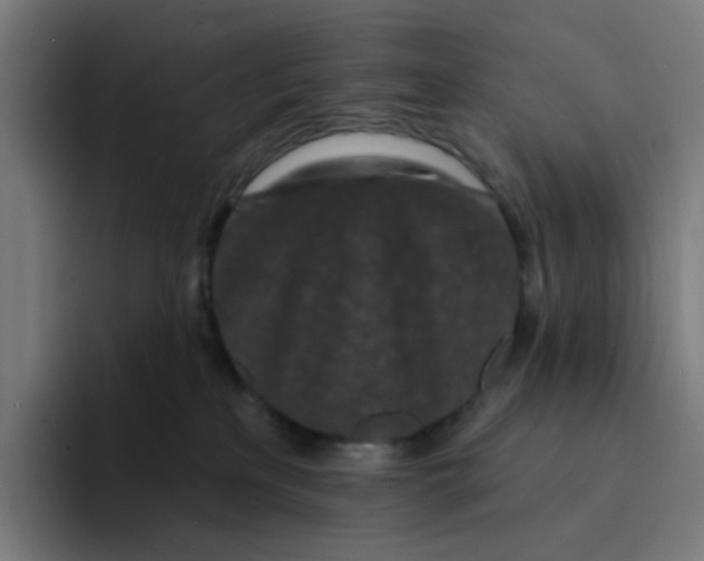 X0000094170233200711161714