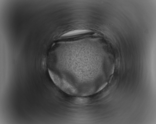 X0000094170234200711161714