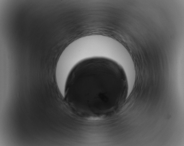 X0000094170235200711161714