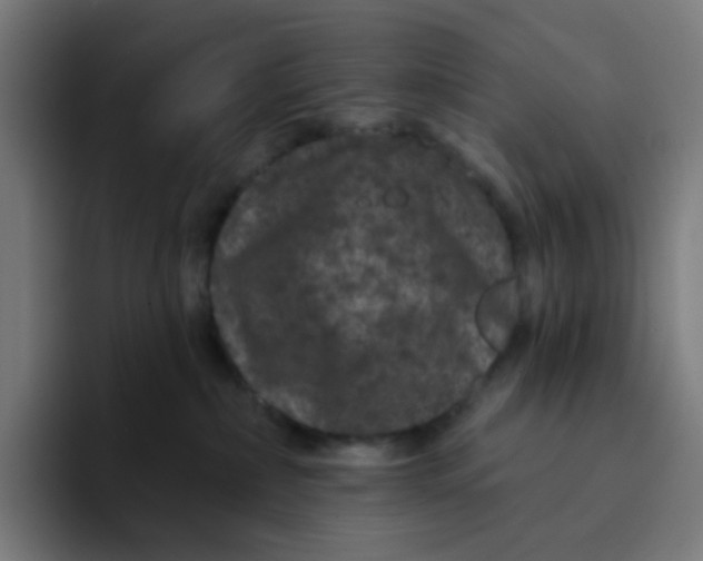 X0000094170236200711161714