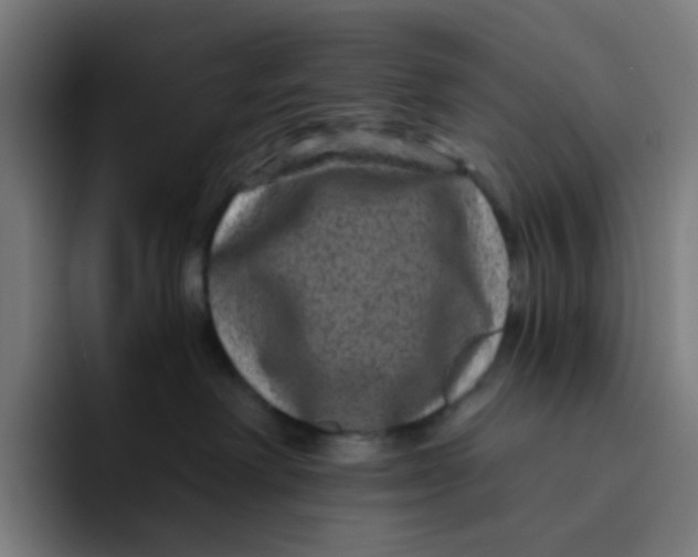 X0000094170238200711161714