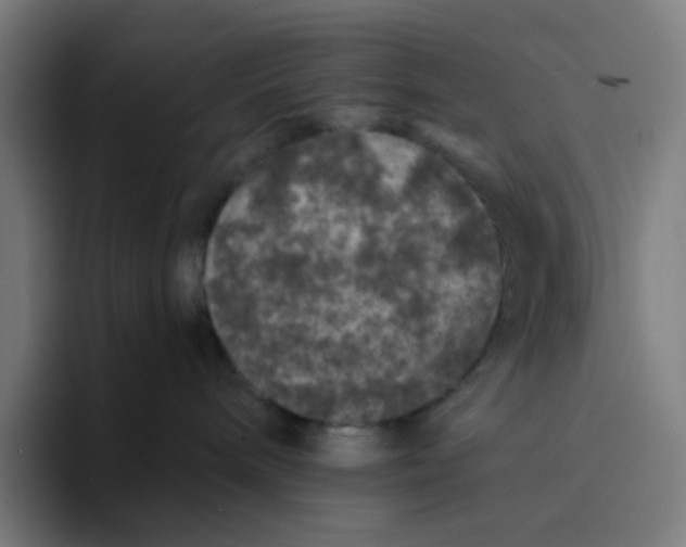 X0000094170240200711161714