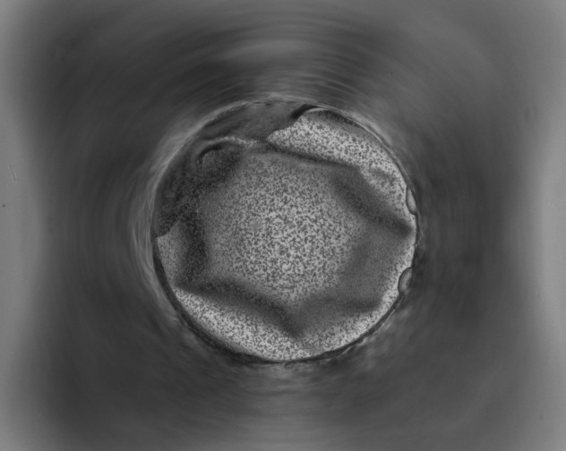 X0000094170241200711161713