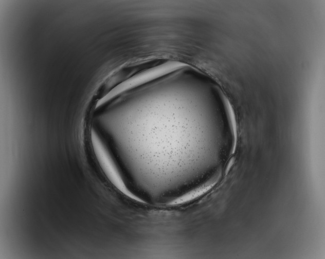 X0000094170242200711161713