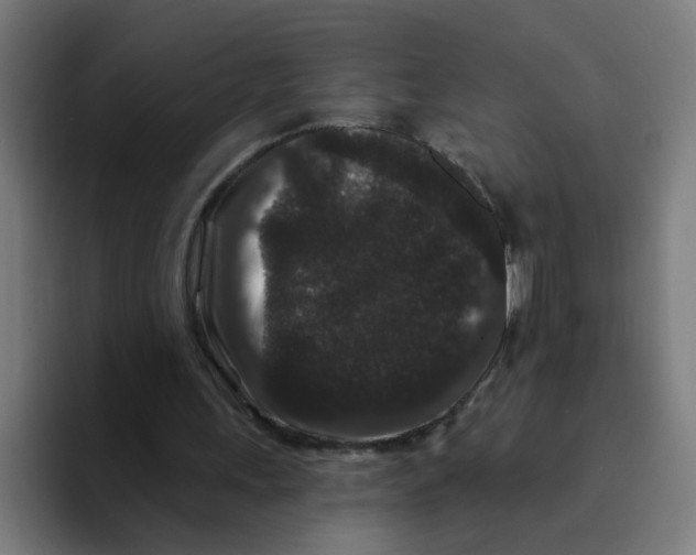 X0000094170243200711161713