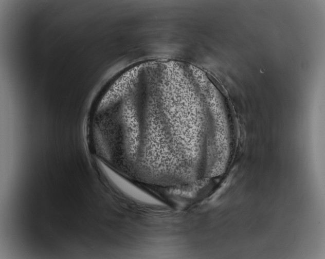 X0000094170244200711161713