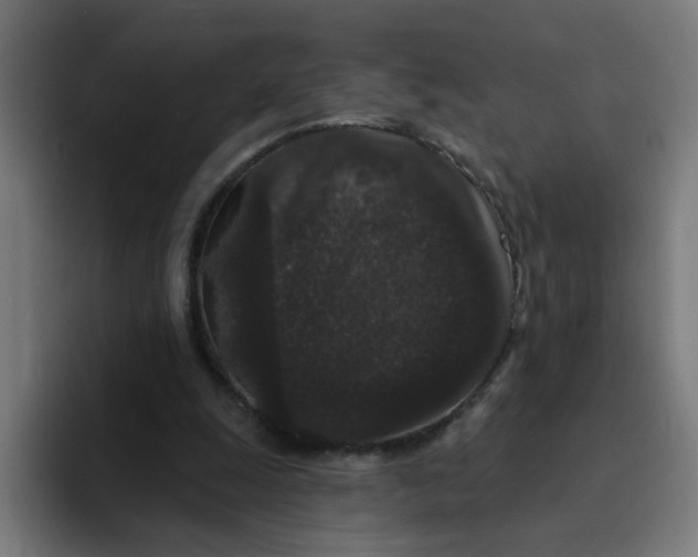 X0000094170247200711161713