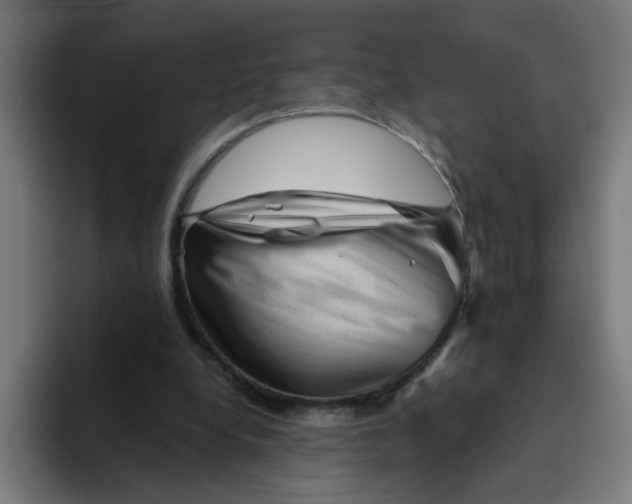 X0000094170248200711161713