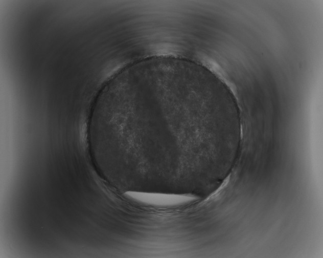 X0000094170249200711161713