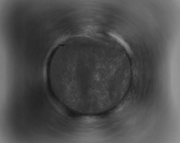 X0000094170250200711161713